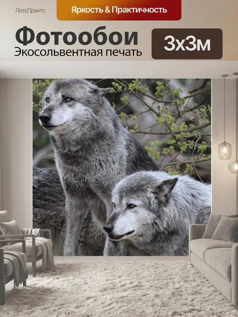 Фотообои Волк