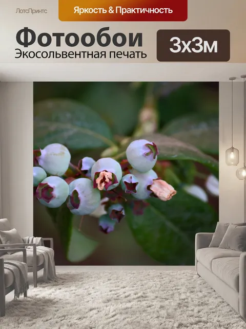 Фотообои недозрелая черника на чернике