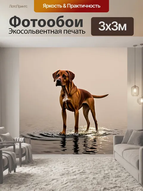 Фотообои родезийский риджбек, стоящий на страже у воды в утреннем тумане