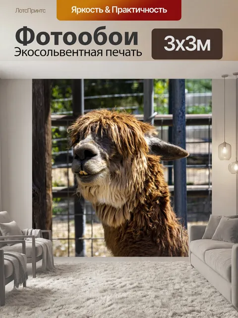 Фотообои альпака
