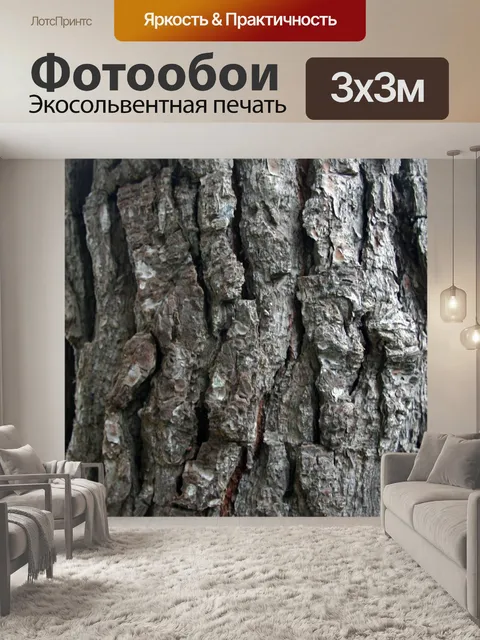 Фотообои Кора