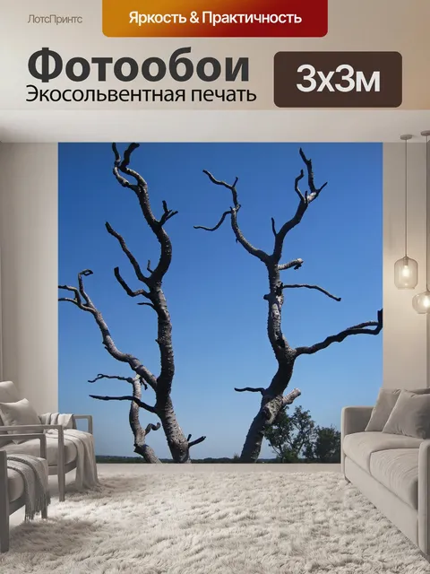 Фотообои Серые ветви мертвого дерева