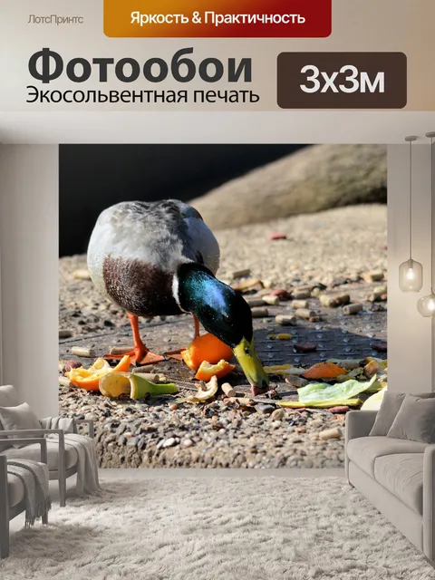 Фотообои Ужин