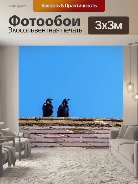 Фотообои Птицы