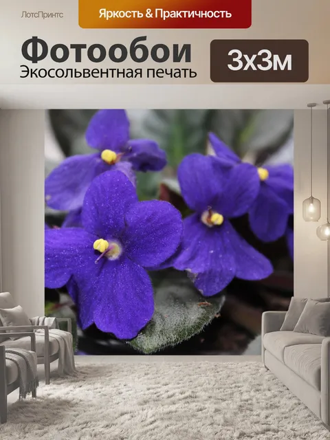 Фотообои Цветок