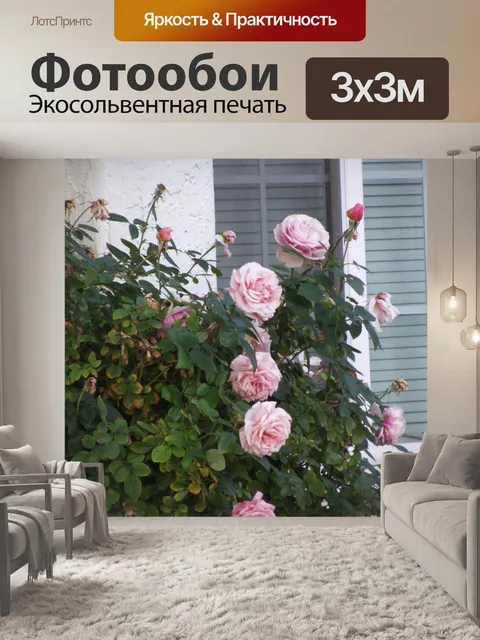 Фотообои розовые розы на Буша
