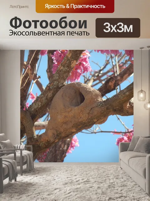 Фотообои Птица