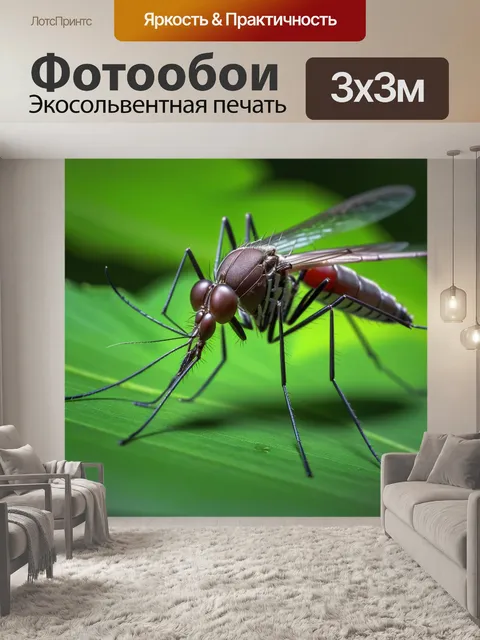 Фотообои крупный план комара, сидящего на листе