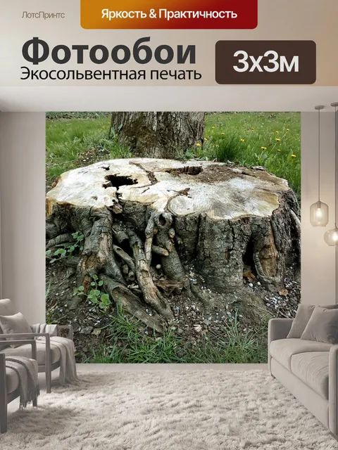 Фотообои Дерево