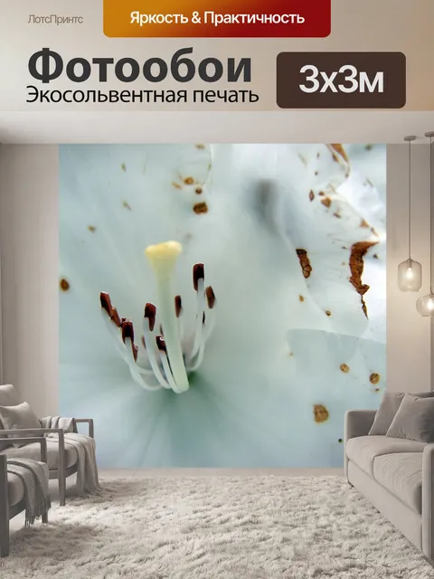 Фотообои Цветы