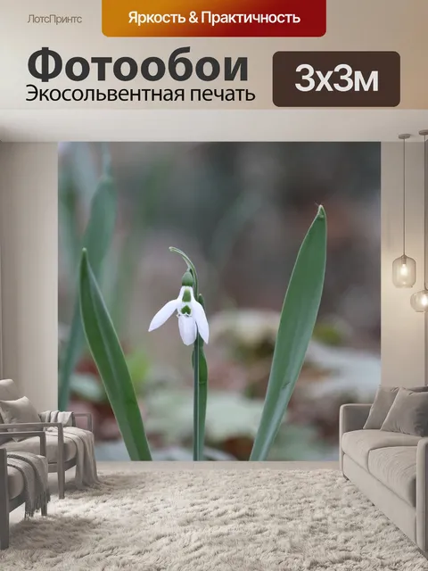 Фотообои Подснежник