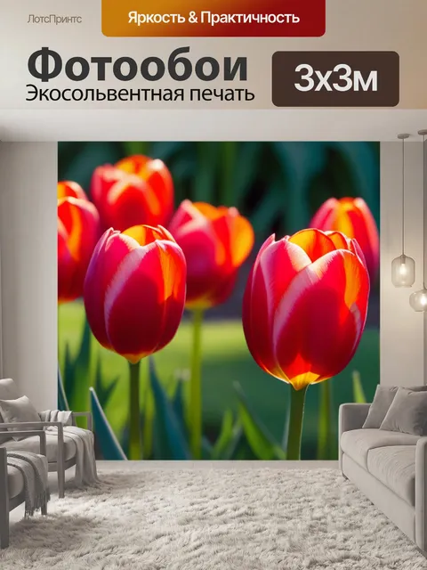 Фотообои тюльпаны в свете утреннего солнца