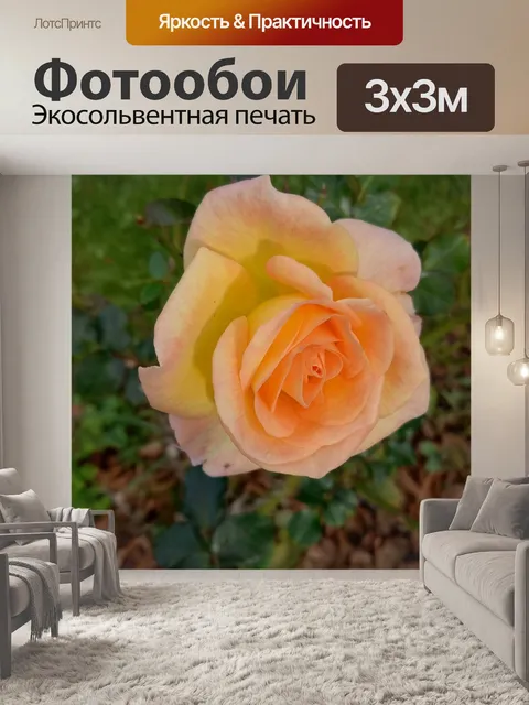 Фотообои Цветок