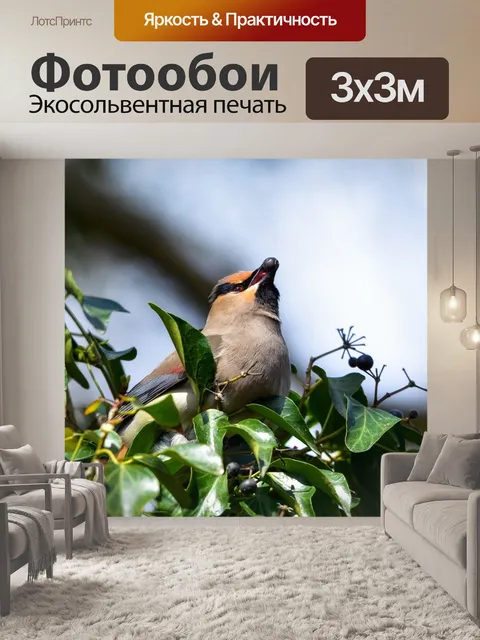 Фотообои Животное