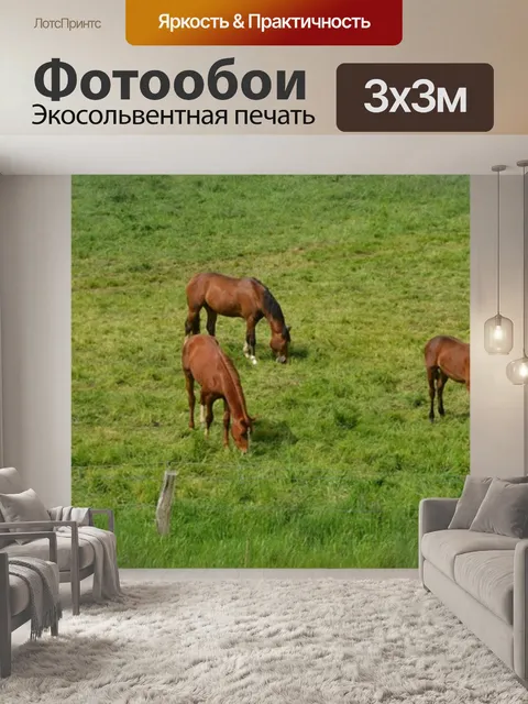 Фотообои Лошади