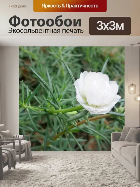 Фотообои Белый цветок