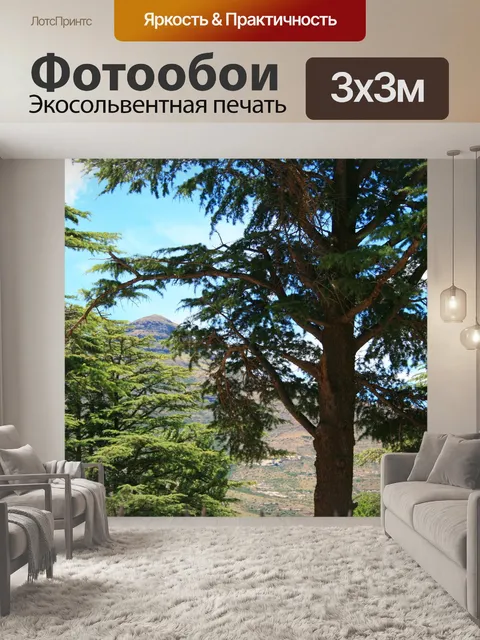Фотообои деревья в городе