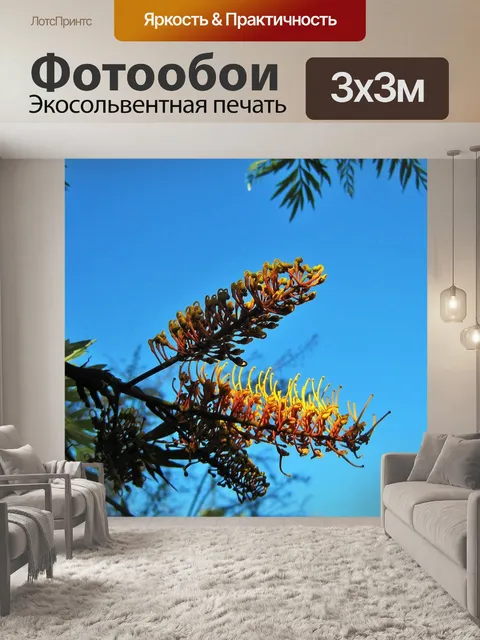 Фотообои Серебряный дуб