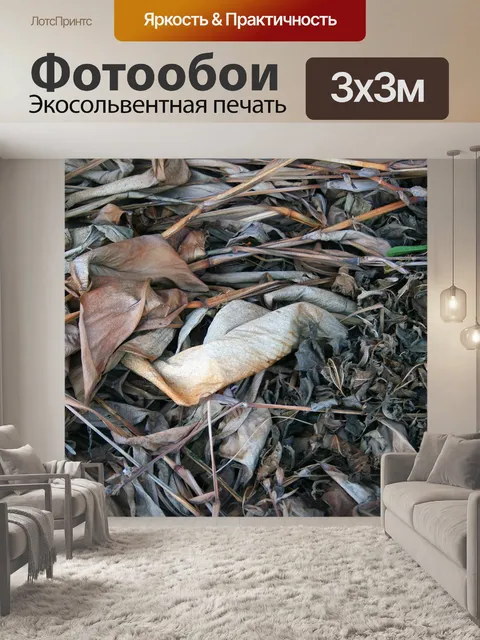 Фотообои оставляет разлагающихся