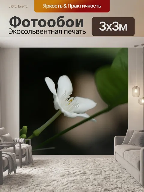 Фотообои Белый цветок
