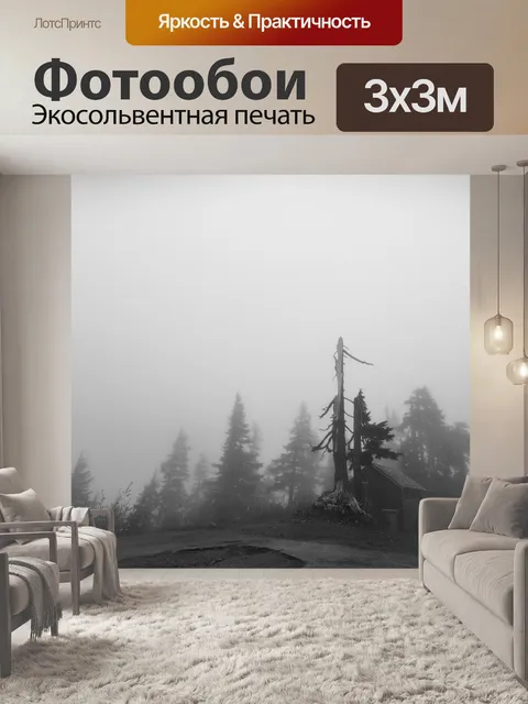 Фотообои Серый