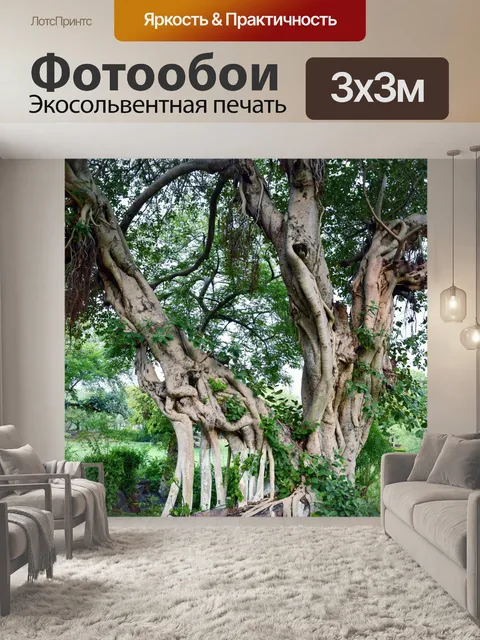 Фотообои Старое большое дерево 2