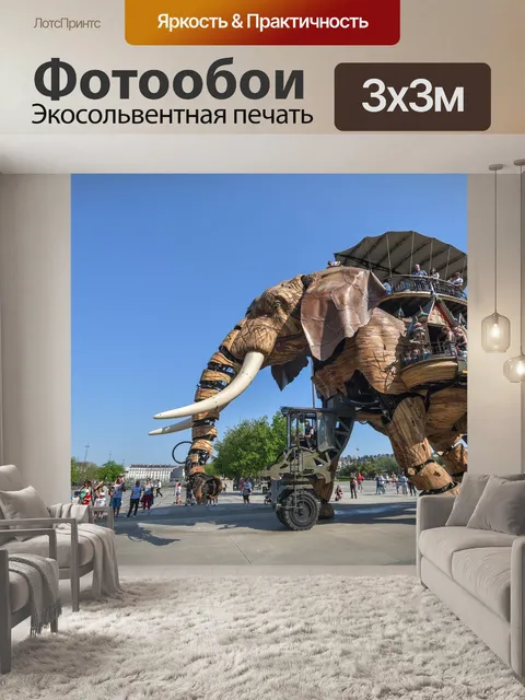 Фотообои Слон