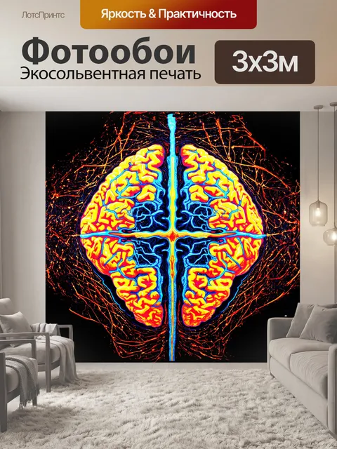 Фотообои на изображении представлен симметричный срез человеческого мозга, выполненный в технике масляной живописи