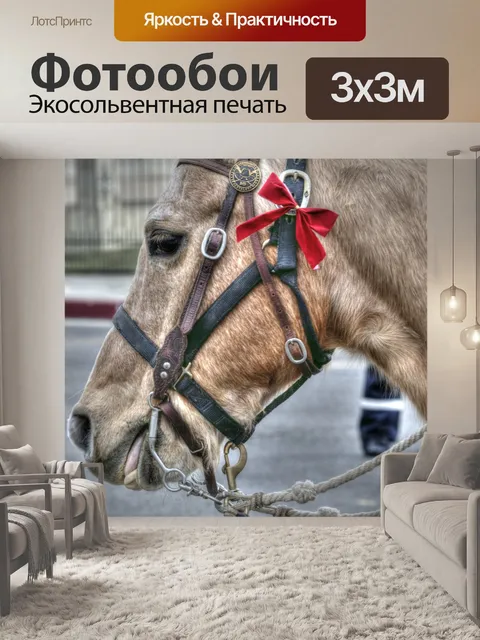 Фотообои Парадная лошадь