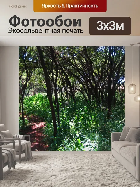 Фотообои солнце на траве и подлеске