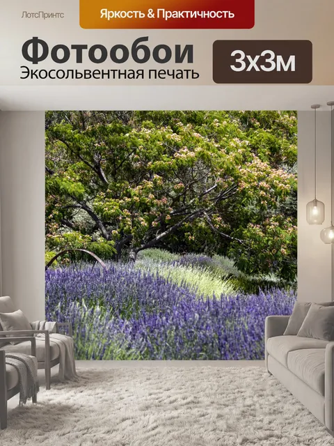 Фотообои Лавандовое поле