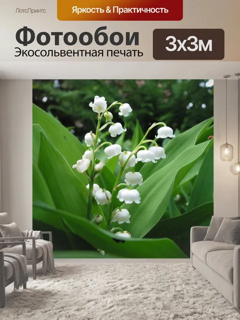 Фотообои Ландыш