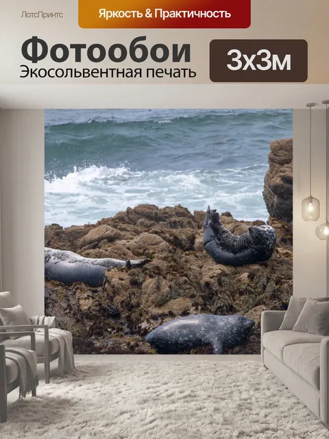 Фотообои Уплотнения на скалах