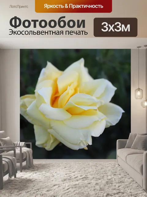 Фотообои Желтая роза