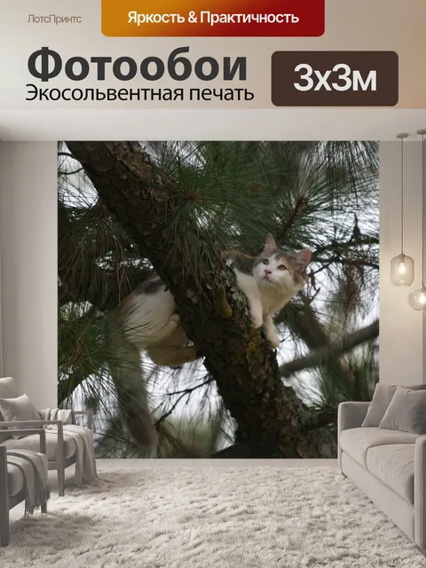 Фотообои Кошка