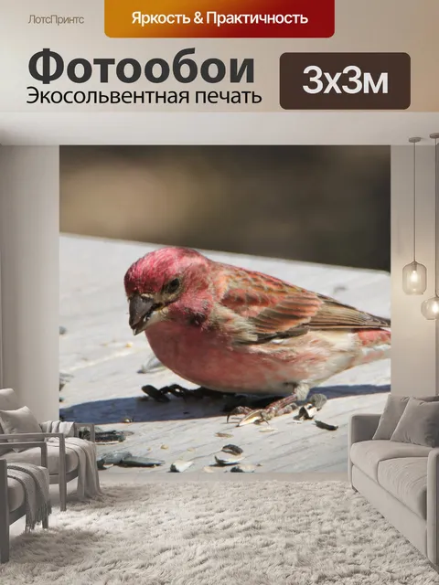Фотообои Фиолетовый дом Финч на столе