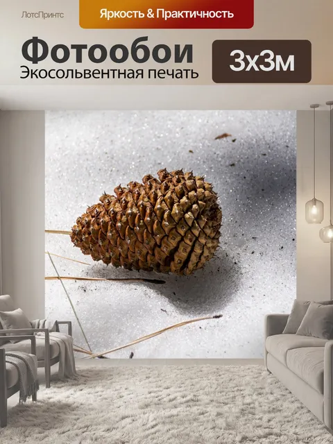 Фотообои Сосновая шишка в снегу
