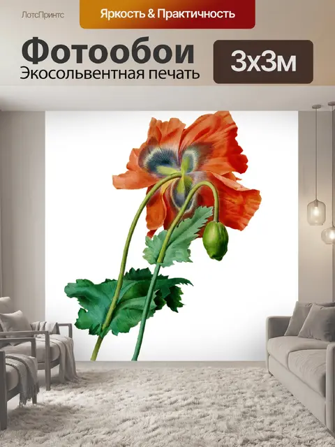 Фотообои Мак нарисовал искусство клипарт