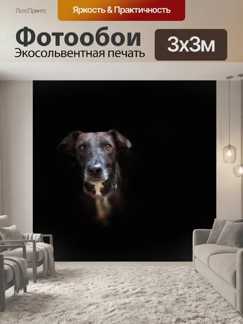 Фотообои Собака