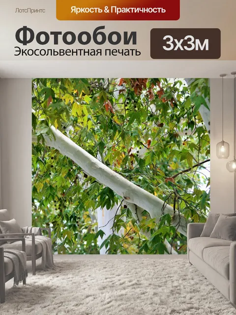 Фотообои белые ветви, клен