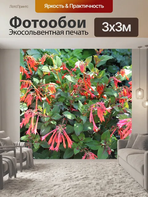 Фотообои Красивые красные цветы