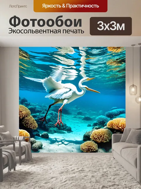 Фотообои подводная сцена, в которой исполинский белоног ныряет в чистые воды с яркими кораллами на фоне