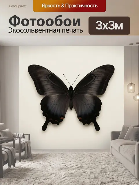 Фотообои Черная бабочка на светлом фоне