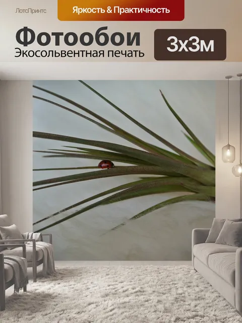 Фотообои Tillandsia