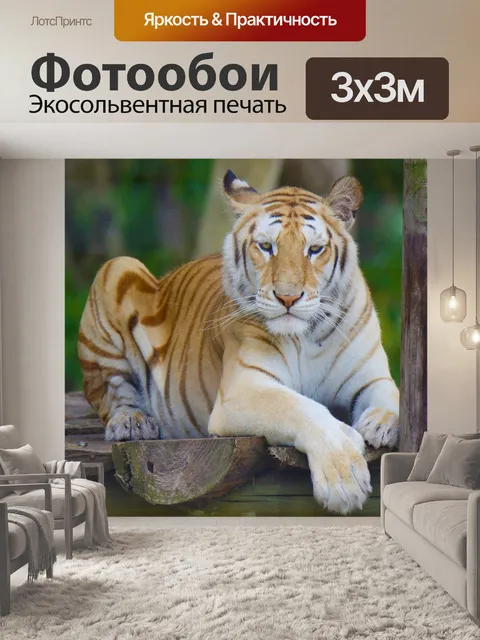 Фотообои Тигр