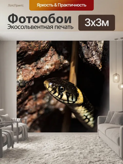 Фотообои Пляжная змея