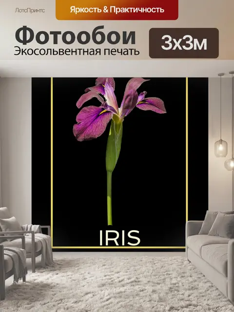 Фотообои Плакат с изображением цветка ириса