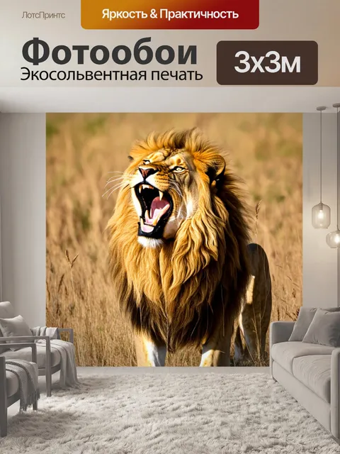 Фотообои лев, с высоко поднятой головой, издающий могучий рев, который разносится по саванне, с дрожащими травами под…