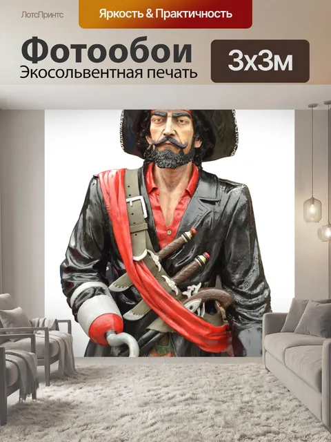 Фотообои Пират