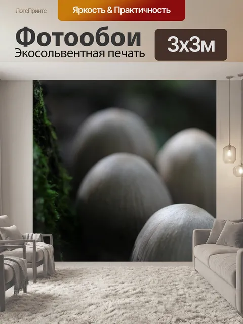 Фотообои Дикие коричневые грибы
